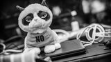 teroheino_asmsummer15_04049.jpg by Torstai
