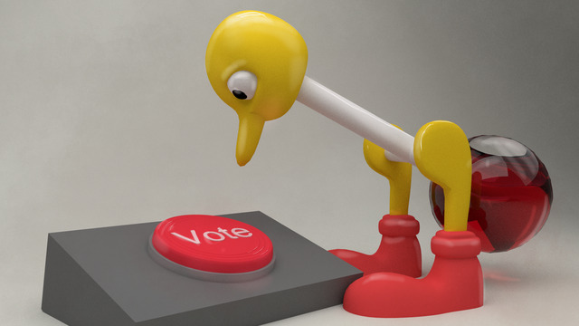 Bird Vote by Felor/HBC