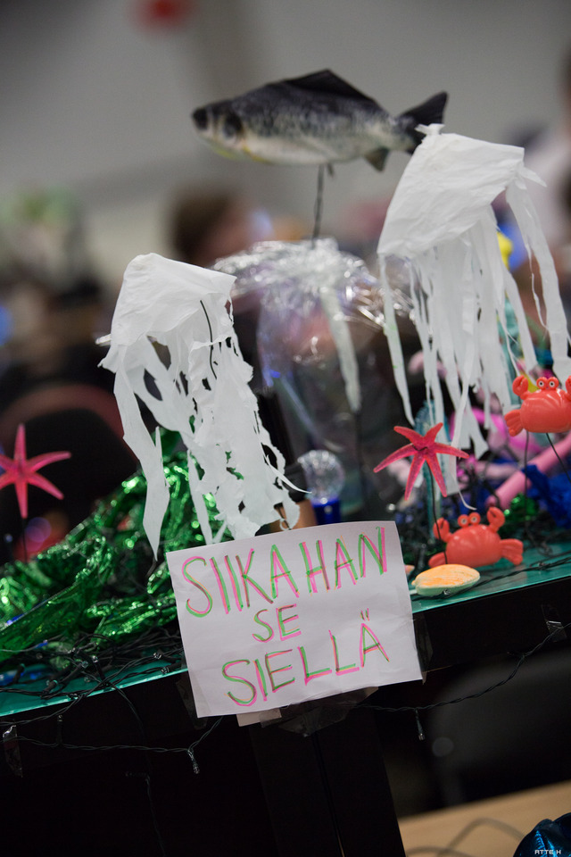 ASMS2017-attehaapalahti-61.jpg by TORSTAI